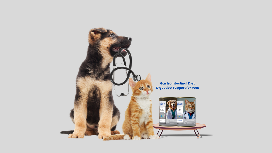 Grain-Free Goodness: Why Petable's Natural Wet Food is the Right Choice for Your Pets